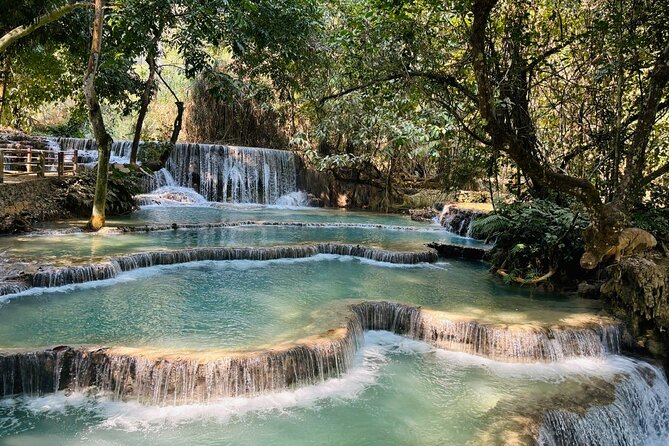 Day Trek to Kuangsi Waterfall and Bear Sanctuary - Luang Prabang full day tour - Bear Rescue Center and nature reserve
