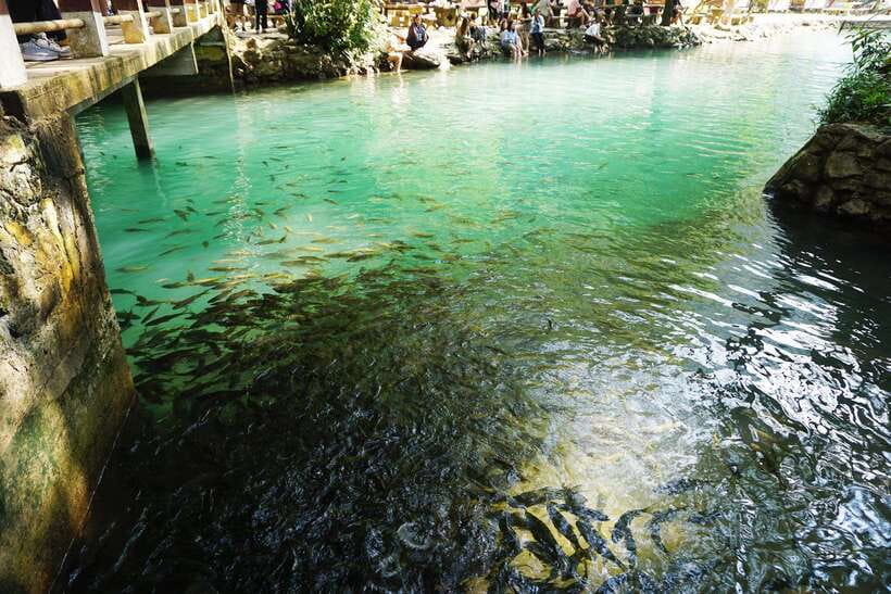 Day Trip Vientiane - VangVieng by Express Train - Is $177 a fair price?