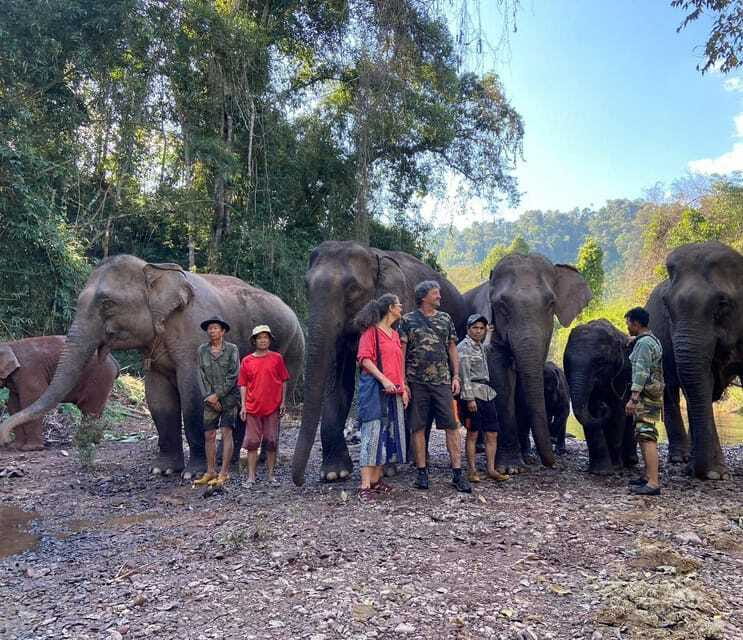 Elephant Home Sanctuary in Muang Thong Sayaboury Laos - Day three: Food, forest, and a slower goodbye