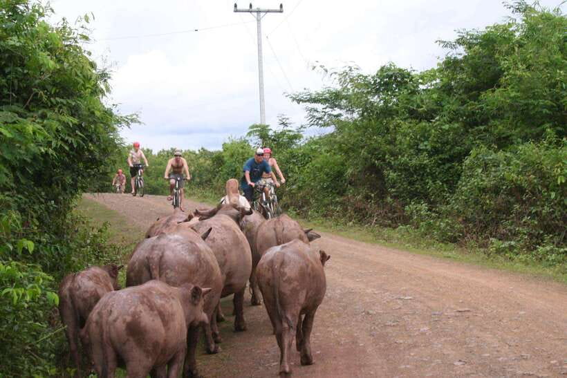 From Luang Prabang: Guided Mountain Bike Tour with Lunch - Riding beside the Nam Ou and Mekong