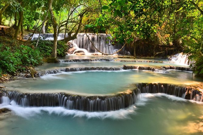 Full Day bamboo experience with cooking class & Kuang si waterfalls - Arriving at the Bamboo Pavilion