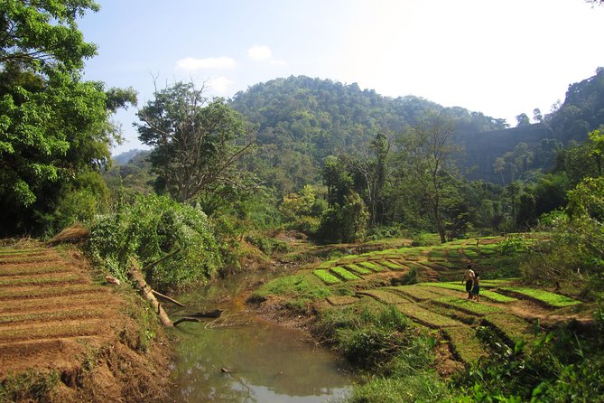 Full Day Crossing the Bolaven Plateau - Tad Yuang for water and a possible swim