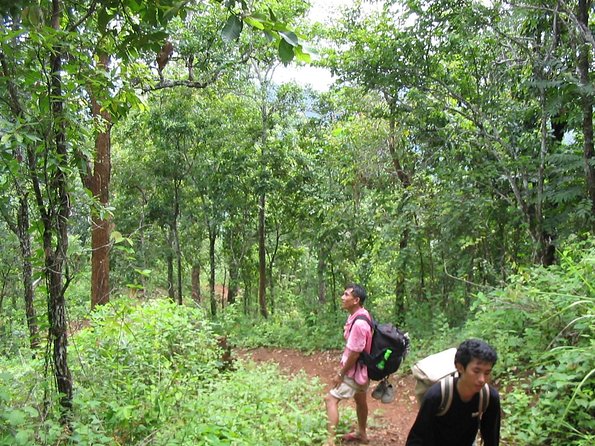 Full Day Trek to Kuang Si Waterfalls, Remote Village - Bear rescue and the rice farm connection
