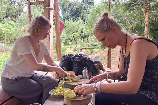 Full Day Visit & Cook at Local family' farm and Hiking to Kuang si waterfalls - Five details that shape the day