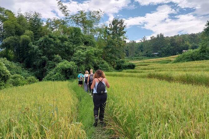 Full Day Visit & Cook at Local family' farm and Hiking to Kuang si waterfalls - Cooking pork laap, salad, and sticky rice