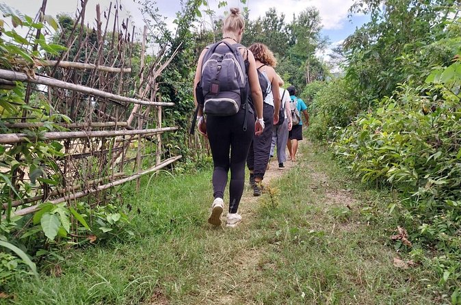Full Day Visit & Cook at Local family' farm and Hiking to Kuang si waterfalls - Following the farmers’ path toward Kuang Si Falls