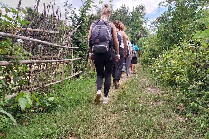 Full Day Visit & Cook at Local family' farm and Hiking to Kuang si waterfalls - Swimming at the turquoise pools of Kuang Si