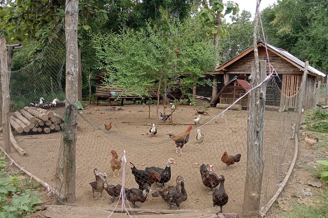 Full Day Visit & Cook at Local family' farm and Hiking to Kuang si waterfalls - Who should choose this private outing