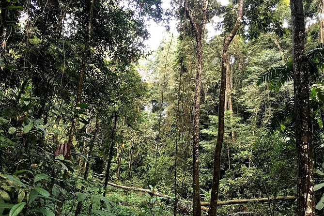 Hunter Trails, 3 days difficult trekking with Camping & Homestay - What the $175 price buys you