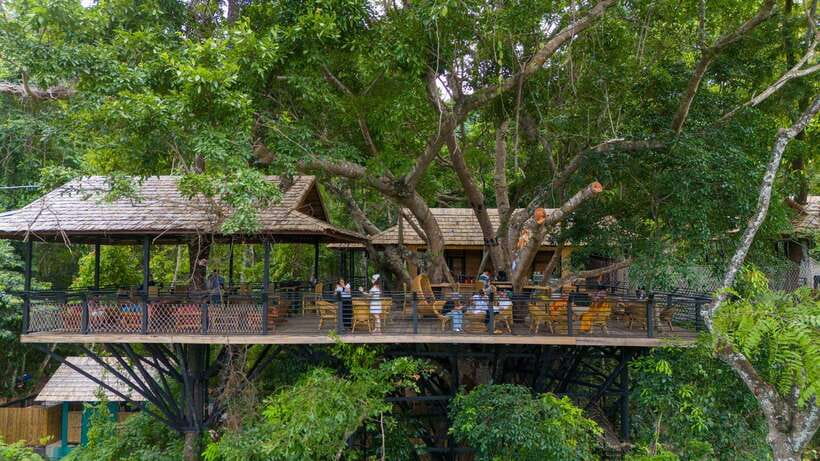 Kuang Si Waterfall, Tree Top Cafe, Ziplining - Key points at a glance