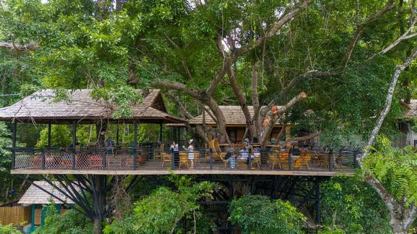 Kuang Si Waterfall, Tree Top Cafe, Ziplining - What the $115 price really buys
