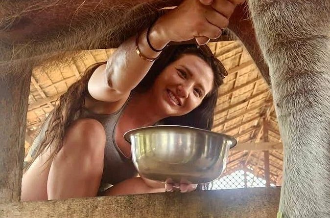 Laos Buffalo Dairy Tours Interact, Learn and Taste Fresh Flavors - Value at $14 per person