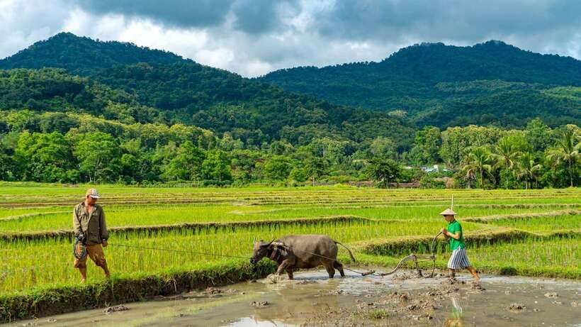 Living Land Farm Rice Experience - Reaching the farm from Luang Prabang