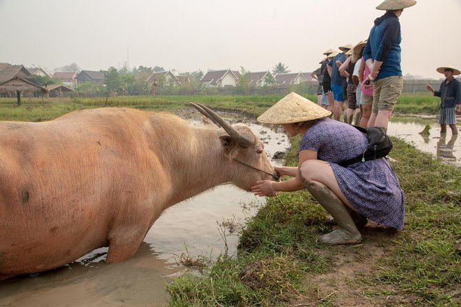 Living Land Rice Farming Experience - Bamboo weaving, sugar cane, and village skills