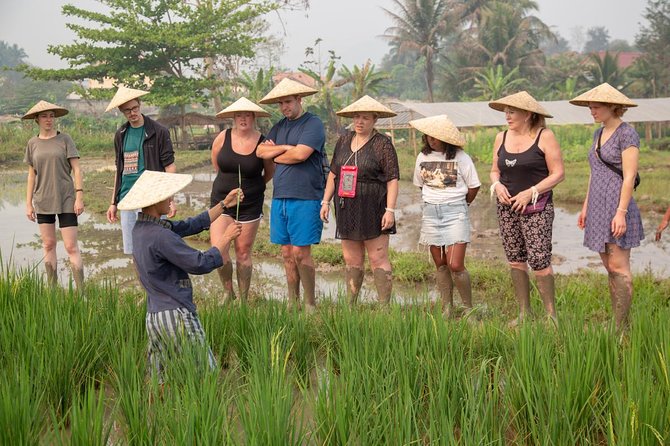 Living Land Rice Farming Experience - Rice snacks and the Luang Prabang lunch