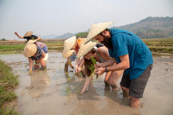 Living Land Rice Farming Experience - Is $64.17 a fair price?