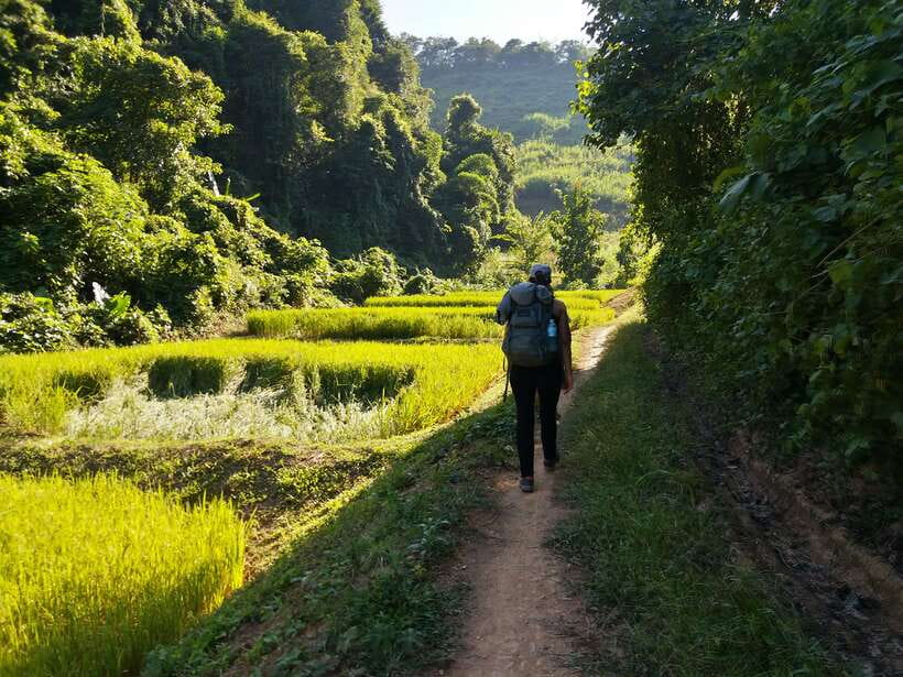 Luang Prabang: 3-Day Cultural Remote Trek With Homestay - Key things to know before you go