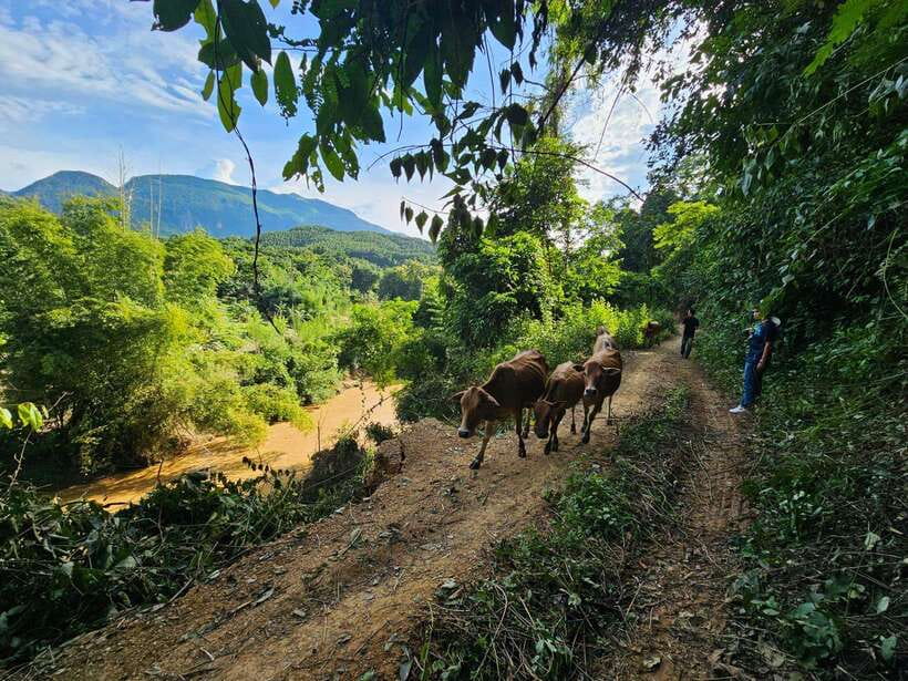 Luang Prabang: Authentic Lao Village & Farm Experience Day - Learning traditional net fishing beside the ponds
