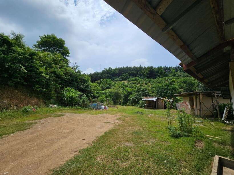 Luang Prabang: Authentic Lao Village & Farm Experience Day - Choosing the forest walk