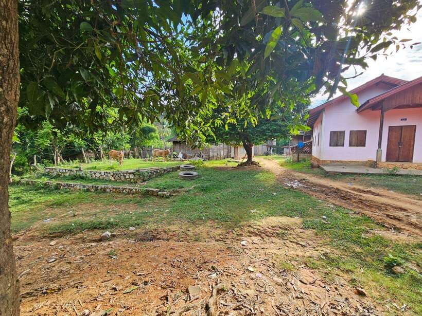 Luang Prabang: Authentic Lao Village & Farm Experience Day - Is $135 a fair price?