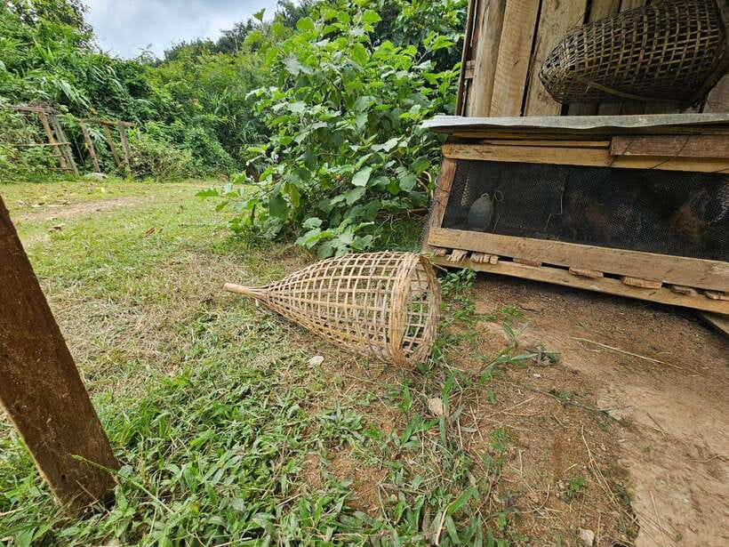 Luang Prabang: Authentic Lao Village & Farm Experience Day - Who will enjoy this day most?