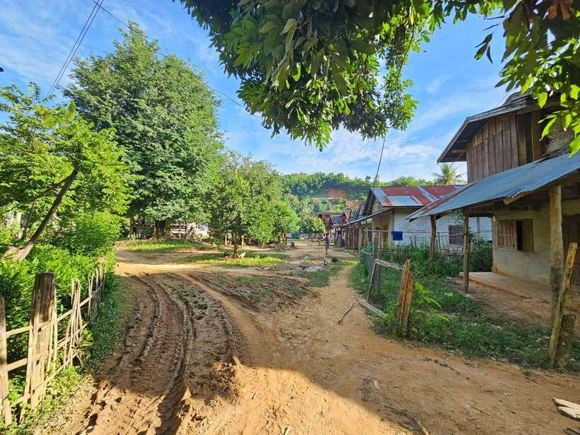 Luang Prabang: Authentic Lao Village & Farm Experience Day - A working farm with rubber, fruit, and animals