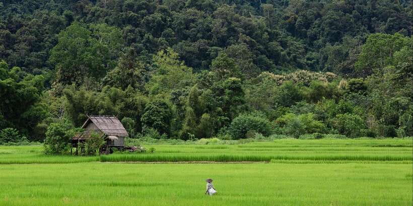 Luang Prabang: Countryside Mountain Bike Tour with Lunch - Practical advice for a better day