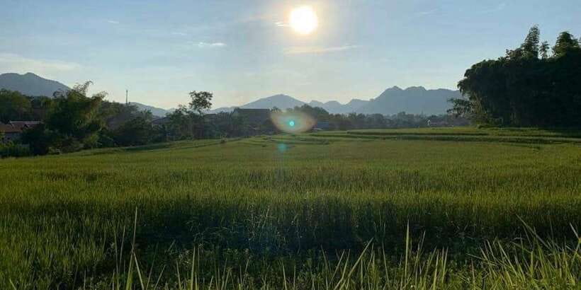 Luang Prabang: Evening Cooking Class & Local Baci Ceremony - Price, group size, and overall value