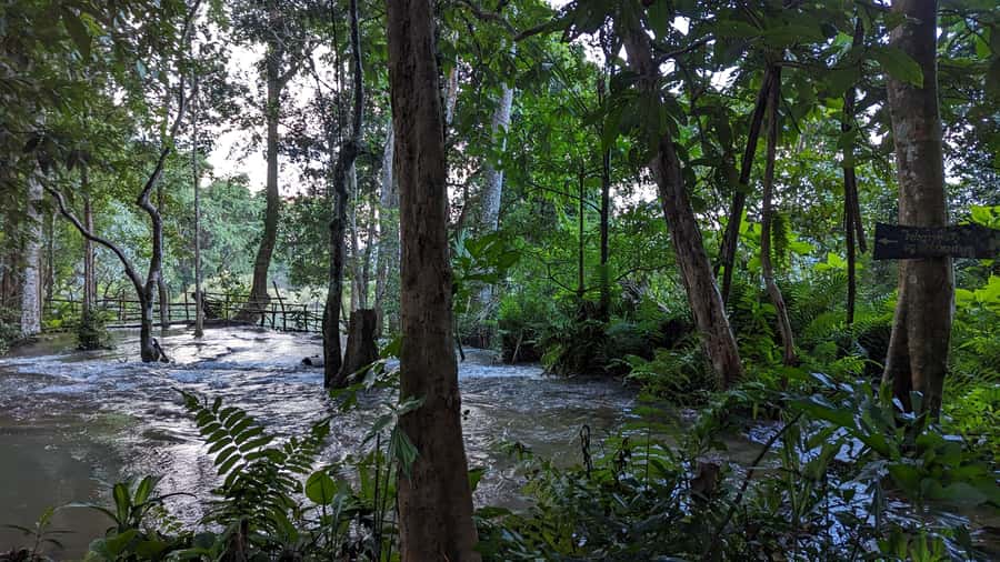 Luang Prabang: Full Day Trek to Kuang Si Waterfall & Village - Why walk to Kuang Si instead of simply driving?