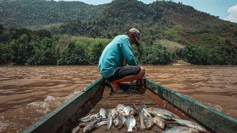 Luang Prabang: Mekong Fishing with a Local Fisherman & Lunch - Learning two old Mekong fishing methods