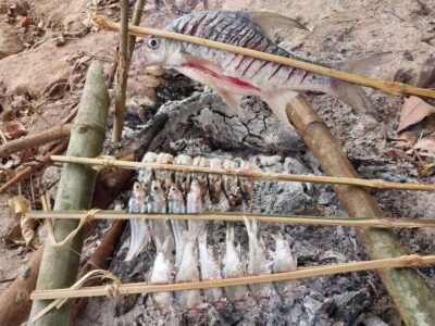 Mekong Fishing with a Local Fisherman & Lunch