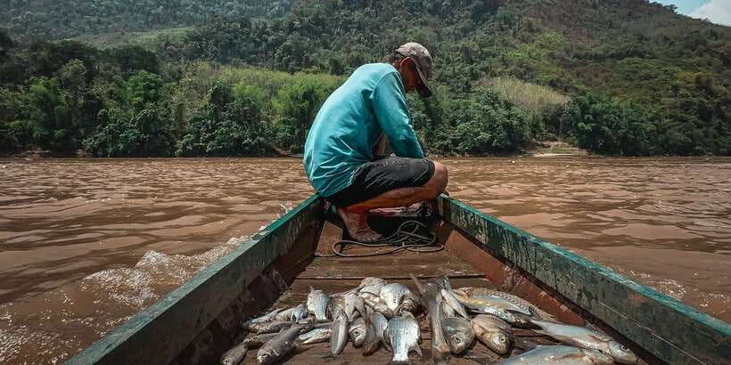 Luang Prabang: Mekong Fishing with a Local Fisherman & Lunch - The guides make a real difference