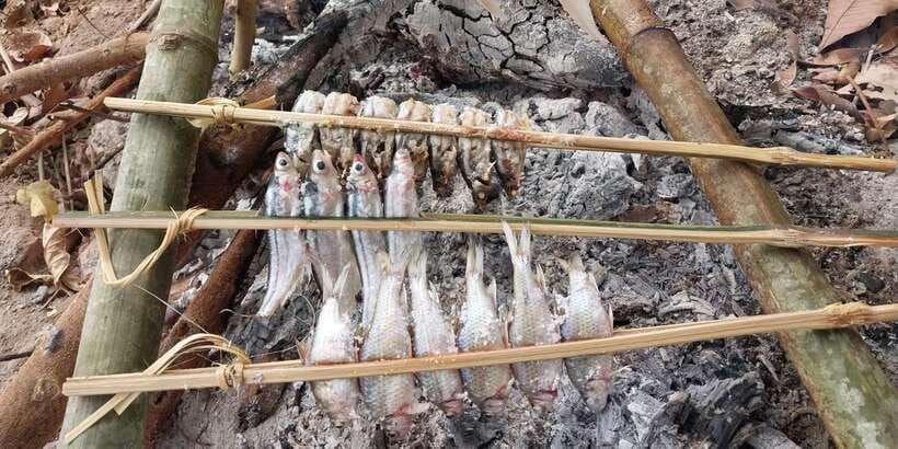 Luang Prabang: Mekong Fishing with a Local Fisherman & Lunch - Who should book this experience?