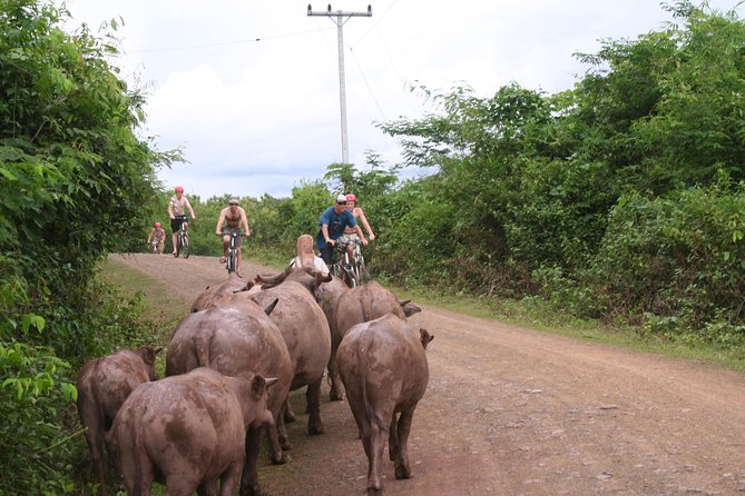 Luang Prabang Mountain Bike Cycling Tour - Village and rice-field stops along the way