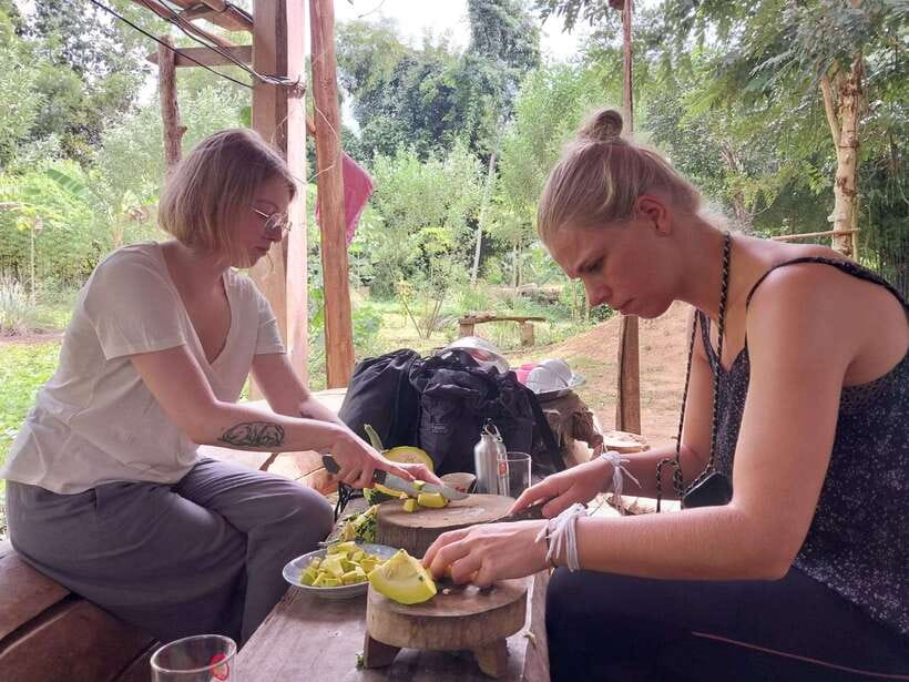 Luang Prabang: Organic Farm Experience & Hike to Kuang si - Key points at a glance