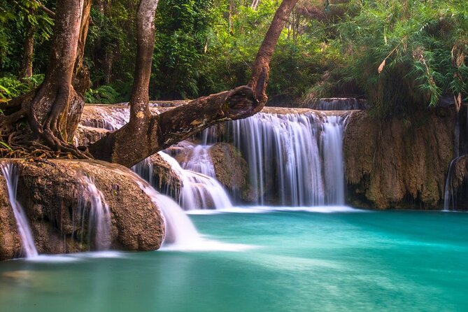 Luang Prabang Private Cultural, Museum and Kuang Si Waterfall - What $119 per person gets you