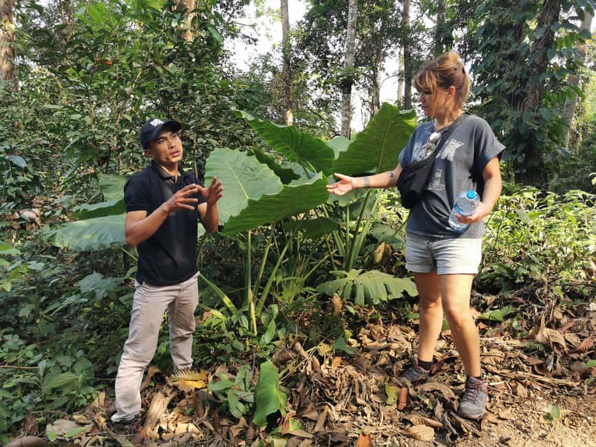 Luang prabang: Survival course in the primary forest. - Fire-making without a lighter