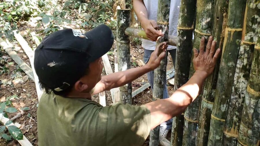 Luang prabang: Survival course in the primary forest. - Finding water and reading signs of wildlife
