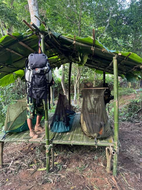 Luang prabang: Survival course in the primary forest. - Wild plants and traditional Khmu knowledge