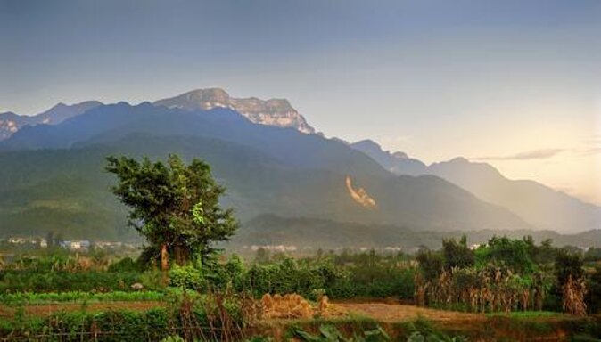 Morning food tour with market Temples option Kuangsi waterfall - Key points to know before booking