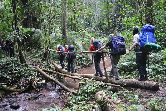 Nalan Trail and Khmu Tribe: 2 Days Trek in Nam Ha NPA - Key points before you book