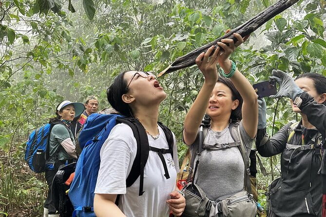 Nalan Trail and Khmu Tribe: 2 Days Trek in Nam Ha NPA - The first forest walk and Lao-style picnic