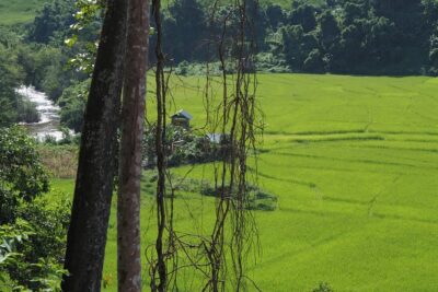 Nalan Trail Kmu Ethnic Experience – 2days forest trek with homestay.