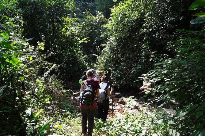 Nalan Trail Kmu Ethnic Experience - 2days forest trek with homestay. - The homestay choice and basic conditions