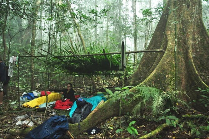 Nam Ha NPA 3 Day Wildlife Jungle Camp and Village Homestay Trek - Key things to know before you book