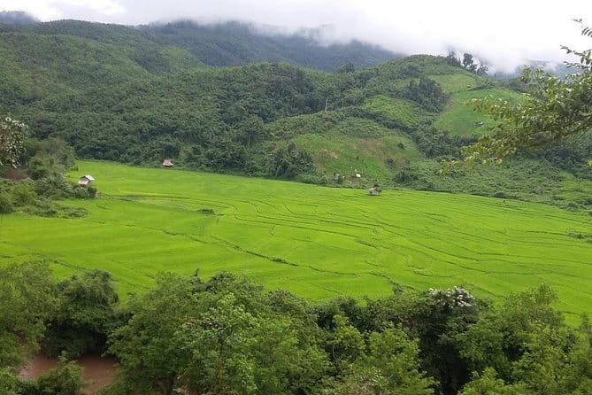 Nam Ha NPA 3 Day Wildlife Jungle Camp and Village Homestay Trek - Who should book this trek?