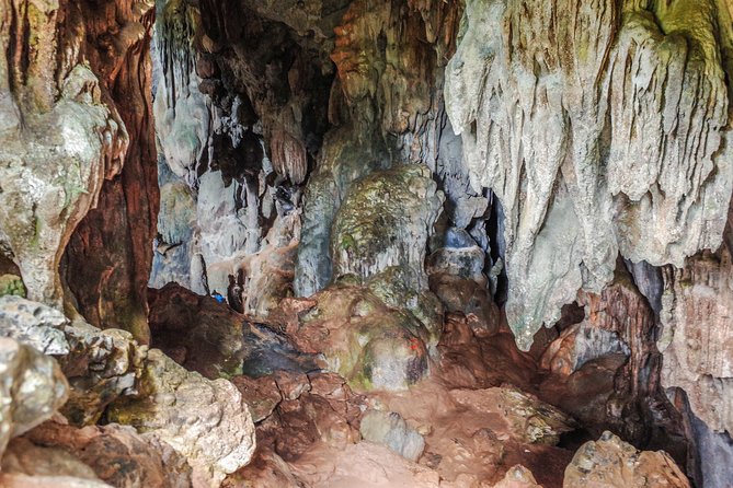 One Day Guided Tour: Kayaking, Zipline & Tubing In The Cave from Vang Vieng - The later forest section and the zipline course