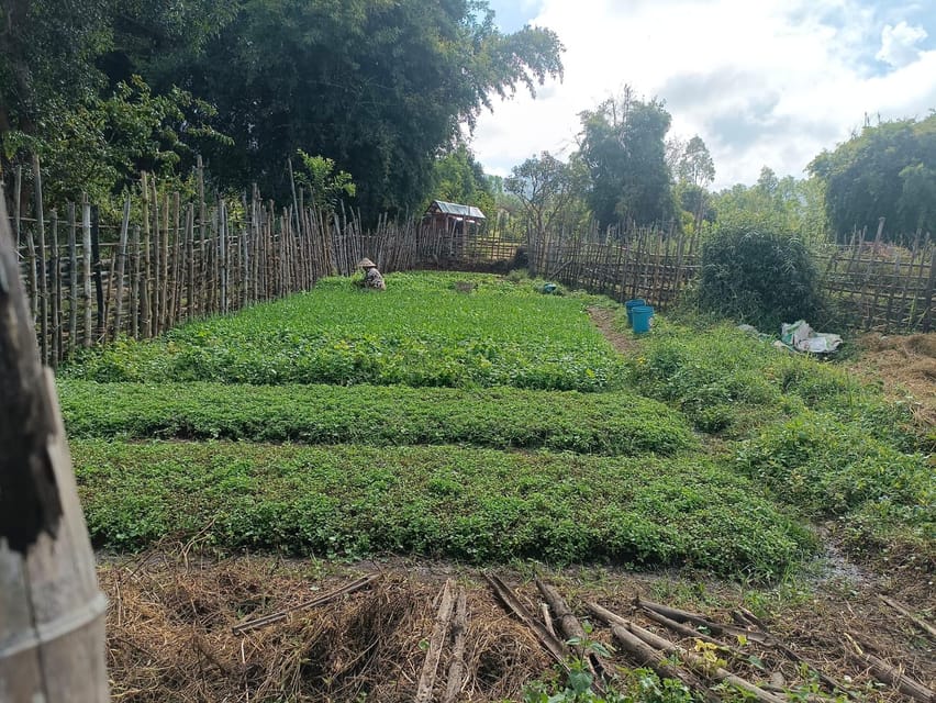 Plain of jars share group tour - 12:30 PM lunch at Lak Khai