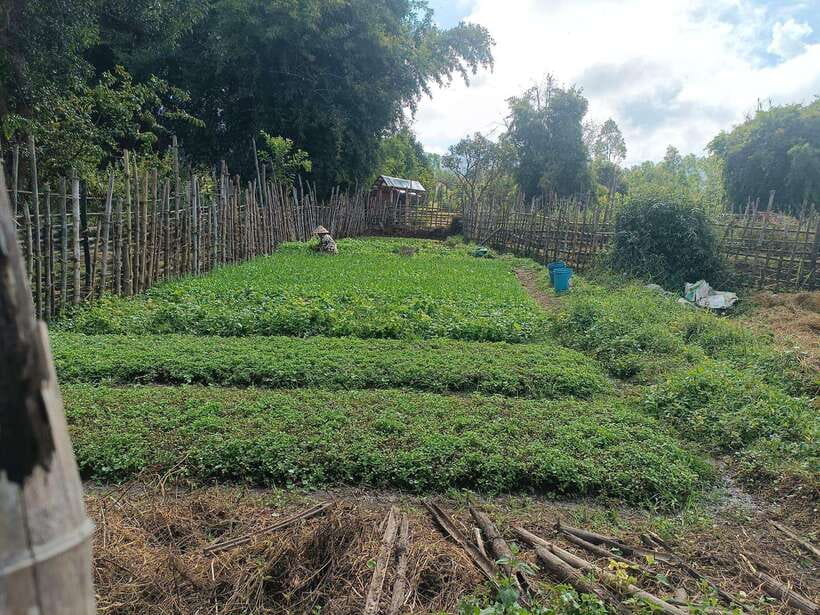 Plain of jars share group tour - Site 1 and its 334 jars