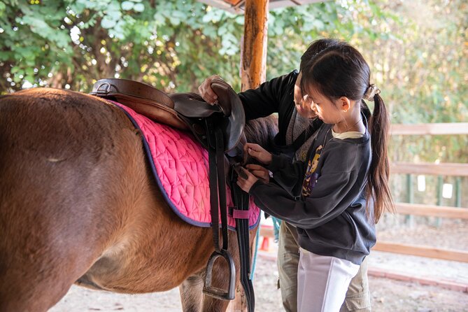 Pony Riding in Luang Prabang - Five things to know before you book